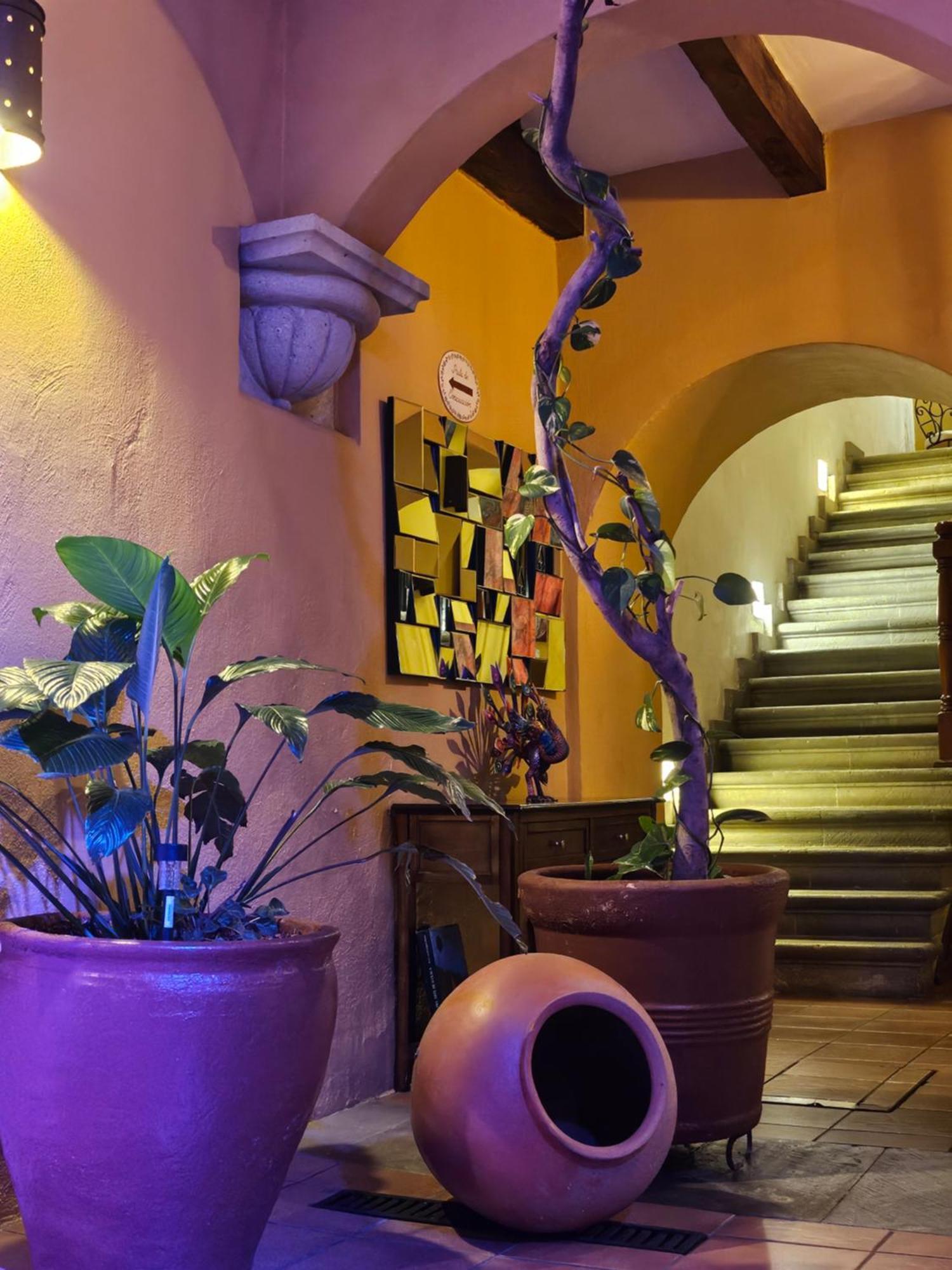 Hotel Casa Divina Oaxaca ภายนอก รูปภาพ